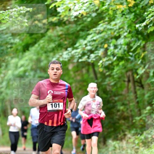 11.10.2026 - Bramfelder Halbmarathon 2026 Dr. Thomas Lammeyer http://msf.ph/oto/10823737 11.10.2026 10:39:26 Laufen 101 meine-sportfotos.de