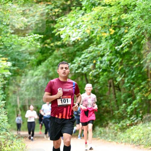 11.10.2026 - Bramfelder Halbmarathon 2026 Dr. Thomas Lammeyer http://msf.ph/oto/10823745 11.10.2026 10:39:27 Laufen 101 meine-sportfotos.de
