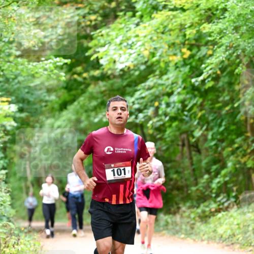 11.10.2026 - Bramfelder Halbmarathon 2026 Dr. Thomas Lammeyer http://msf.ph/oto/10823748 11.10.2026 10:39:27 Laufen 101 meine-sportfotos.de