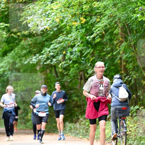 11.10.2026 - Bramfelder Halbmarathon 2026 Dr. Thomas Lammeyer http://msf.ph/oto/10823768 11.10.2026 10:39:29 Laufen  meine-sportfotos.de