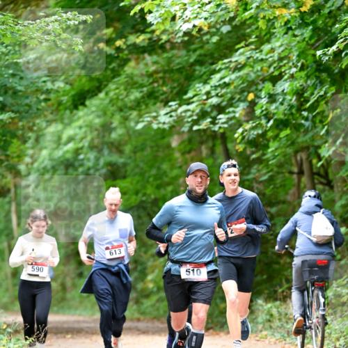 11.10.2026 - Bramfelder Halbmarathon 2026 Dr. Thomas Lammeyer http://msf.ph/oto/10823783 11.10.2026 10:39:30 Laufen 590, 613, 510 meine-sportfotos.de