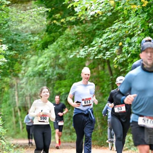 11.10.2026 - Bramfelder Halbmarathon 2026 Dr. Thomas Lammeyer http://msf.ph/oto/10823805 11.10.2026 10:39:32 Laufen 590, 613, 53, 510 meine-sportfotos.de
