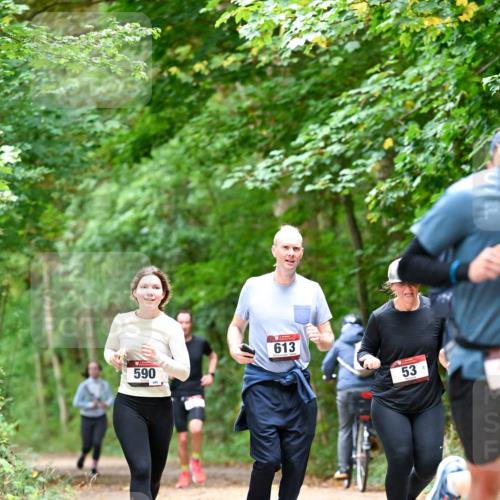 11.10.2026 - Bramfelder Halbmarathon 2026 Dr. Thomas Lammeyer http://msf.ph/oto/10823807 11.10.2026 10:39:32 Laufen 590, 613, 53 meine-sportfotos.de