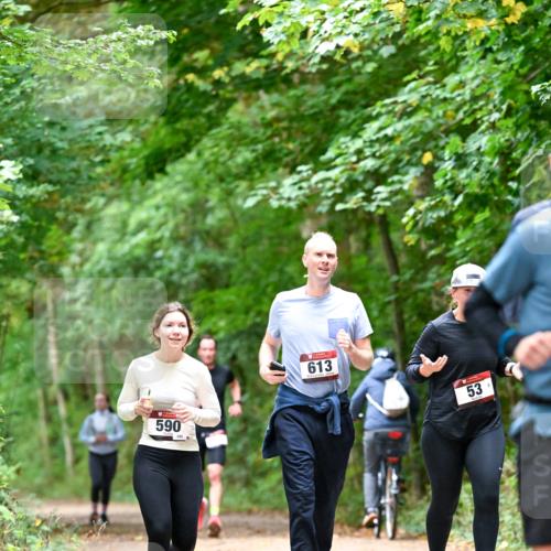 11.10.2026 - Bramfelder Halbmarathon 2026 Dr. Thomas Lammeyer http://msf.ph/oto/10823809 11.10.2026 10:39:32 Laufen 590, 295, 613, 53 meine-sportfotos.de