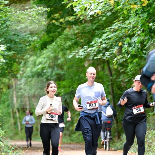 11.10.2026 - Bramfelder Halbmarathon 2026 Dr. Thomas Lammeyer http://msf.ph/oto/10823810 11.10.2026 10:39:32 Laufen 590, 295, 613, 53 meine-sportfotos.de