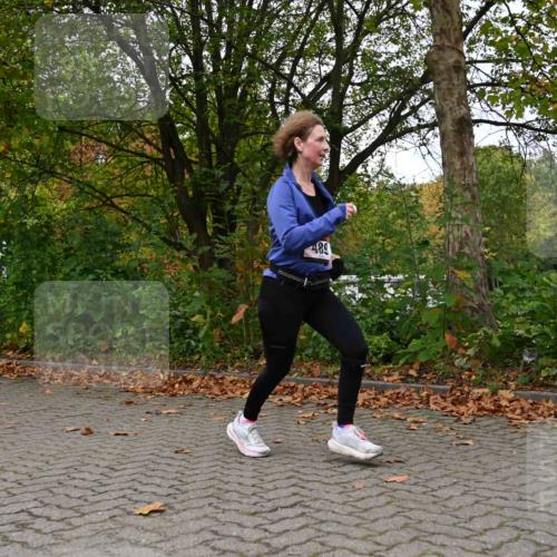11.10.2026 - Bramfelder Halbmarathon 2026 J. Mangold http://msf.ph/oto/10823811 11.10.2026 10:35:26 Laufen 98, 232, 489 meine-sportfotos.de
