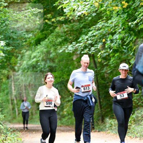 11.10.2026 - Bramfelder Halbmarathon 2026 Dr. Thomas Lammeyer http://msf.ph/oto/10823814 11.10.2026 10:39:33 Laufen 590, 613, 53 meine-sportfotos.de