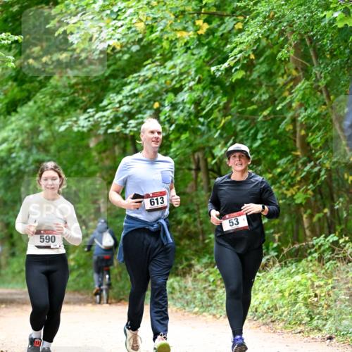 11.10.2026 - Bramfelder Halbmarathon 2026 Dr. Thomas Lammeyer http://msf.ph/oto/10823824 11.10.2026 10:39:34 Laufen 590, 295, 613, 53 meine-sportfotos.de