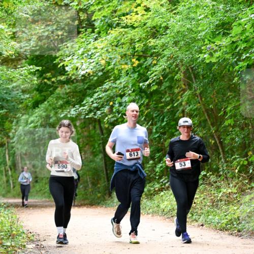 11.10.2026 - Bramfelder Halbmarathon 2026 Dr. Thomas Lammeyer http://msf.ph/oto/10823832 11.10.2026 10:39:34 Laufen 590, 613, 53 meine-sportfotos.de