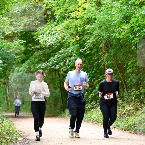 11.10.2026 - Bramfelder Halbmarathon 2026 Dr. Thomas Lammeyer http://msf.ph/oto/10823834 11.10.2026 10:39:34 Laufen 590, 613, 53 meine-sportfotos.de