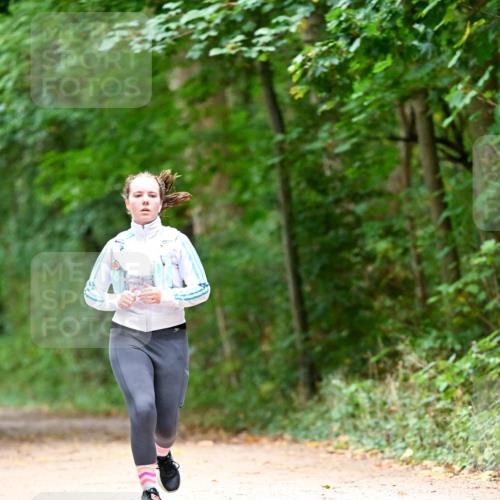 11.10.2026 - Bramfelder Halbmarathon 2026 Dr. Thomas Lammeyer http://msf.ph/oto/10823895 11.10.2026 10:39:42 Laufen  meine-sportfotos.de