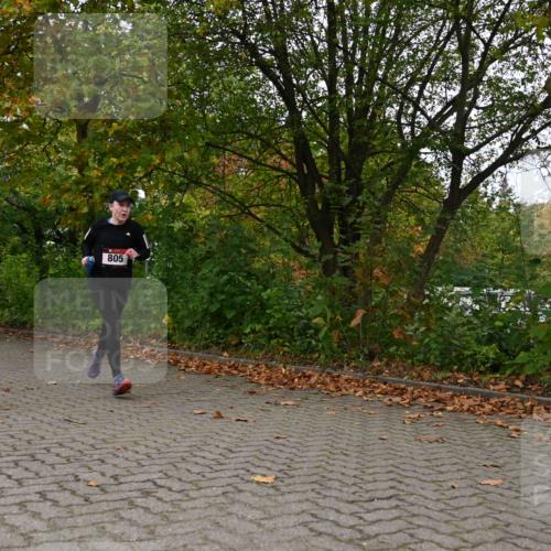 11.10.2026 - Bramfelder Halbmarathon 2026 J. Mangold http://msf.ph/oto/10823940 11.10.2026 10:37:07 Laufen 805 meine-sportfotos.de