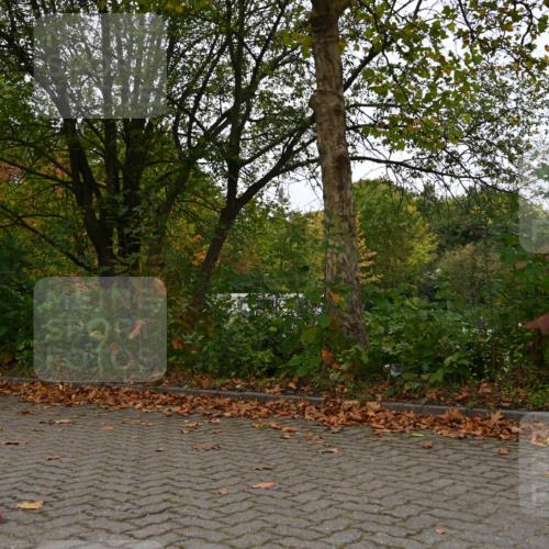11.10.2026 - Bramfelder Halbmarathon 2026 J. Mangold http://msf.ph/oto/10823973 11.10.2026 10:37:38 Laufen 191, 278, 363, 607 meine-sportfotos.de