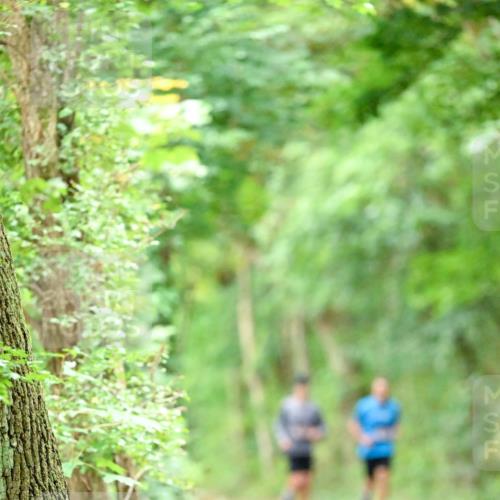 11.10.2026 - Bramfelder Halbmarathon 2026 Dr. Thomas Lammeyer http://msf.ph/oto/10823988 11.10.2026 10:39:58 Laufen  meine-sportfotos.de
