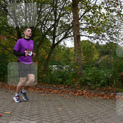 11.10.2026 - Bramfelder Halbmarathon 2026 J. Mangold http://msf.ph/oto/10823989 11.10.2026 10:38:05 Laufen 565 meine-sportfotos.de