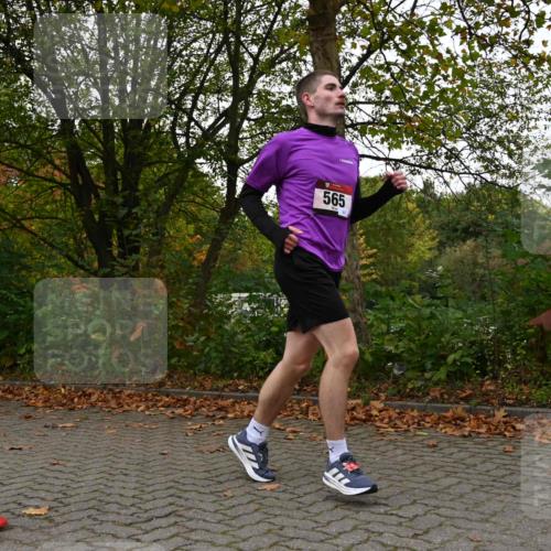 11.10.2026 - Bramfelder Halbmarathon 2026 J. Mangold http://msf.ph/oto/10823994 11.10.2026 10:38:05 Laufen 565 meine-sportfotos.de