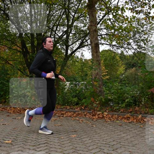 11.10.2026 - Bramfelder Halbmarathon 2026 J. Mangold http://msf.ph/oto/10824028 11.10.2026 10:38:59 Laufen 355, 455 meine-sportfotos.de