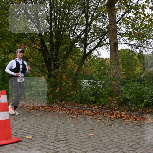 11.10.2026 - Bramfelder Halbmarathon 2026 J. Mangold http://msf.ph/oto/10824045 11.10.2026 10:39:07 Laufen 409, 493 meine-sportfotos.de