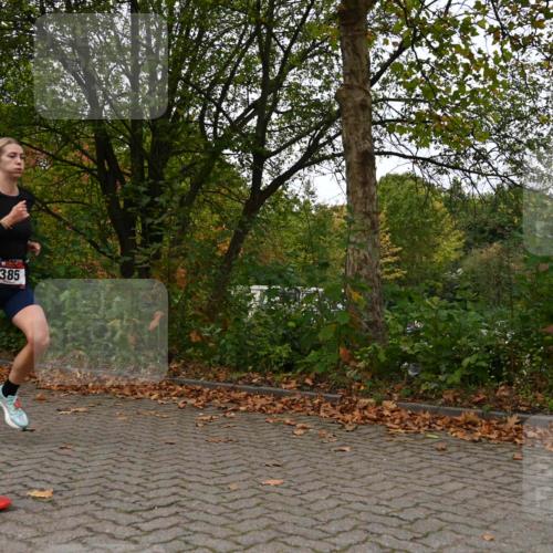 11.10.2026 - Bramfelder Halbmarathon 2026 J. Mangold http://msf.ph/oto/10824057 11.10.2026 10:39:25 Laufen 385 meine-sportfotos.de
