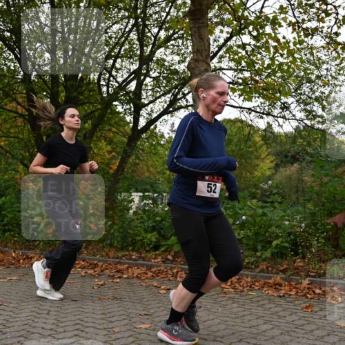 11.10.2026 - Bramfelder Halbmarathon 2026 J. Mangold http://msf.ph/oto/10824096 11.10.2026 10:40:07 Laufen 52, 506 meine-sportfotos.de