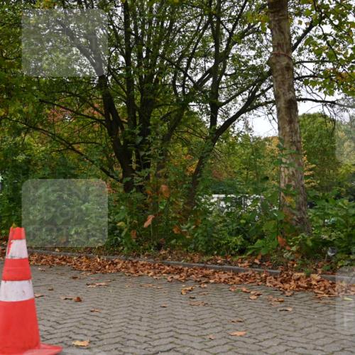 11.10.2026 - Bramfelder Halbmarathon 2026 J. Mangold http://msf.ph/oto/10824160 11.10.2026 10:40:59 Laufen 205, 293, 783, 784 meine-sportfotos.de