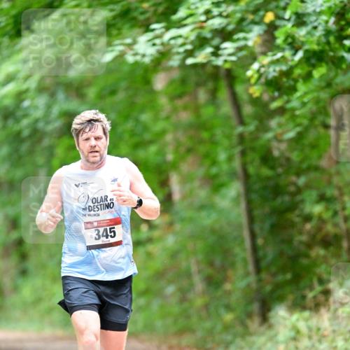 11.10.2026 - Bramfelder Halbmarathon 2026 Dr. Thomas Lammeyer http://msf.ph/oto/10824161 11.10.2026 10:41:31 Laufen 2, 345 meine-sportfotos.de