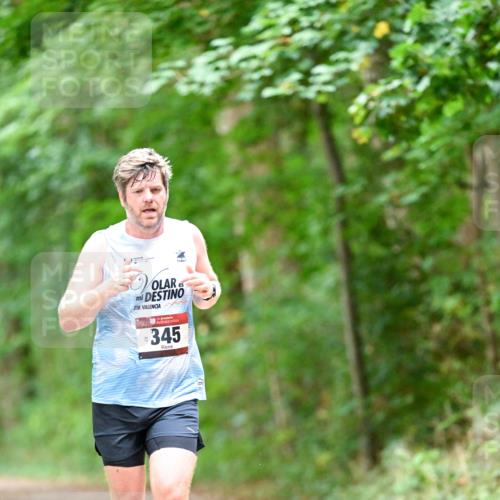 11.10.2026 - Bramfelder Halbmarathon 2026 Dr. Thomas Lammeyer http://msf.ph/oto/10824163 11.10.2026 10:41:31 Laufen 21, 345 meine-sportfotos.de