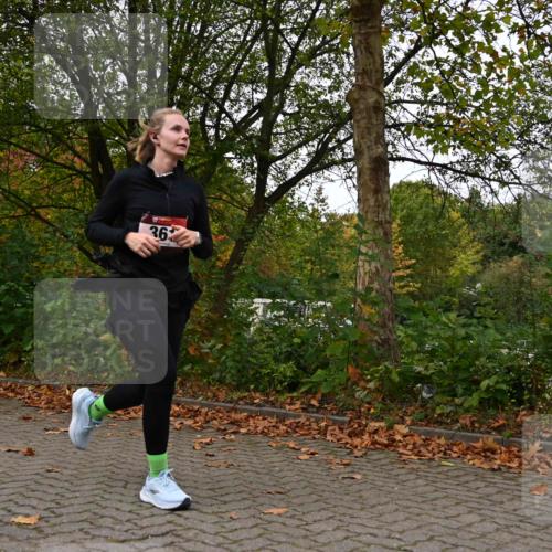 11.10.2026 - Bramfelder Halbmarathon 2026 J. Mangold http://msf.ph/oto/10824179 11.10.2026 10:41:14 Laufen 361, 382, 465 meine-sportfotos.de