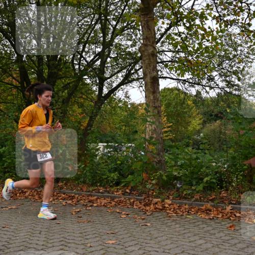 11.10.2026 - Bramfelder Halbmarathon 2026 J. Mangold http://msf.ph/oto/10824185 11.10.2026 10:41:16 Laufen 361, 382, 465 meine-sportfotos.de