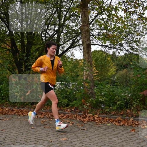 11.10.2026 - Bramfelder Halbmarathon 2026 J. Mangold http://msf.ph/oto/10824187 11.10.2026 10:41:16 Laufen 361, 382, 465 meine-sportfotos.de