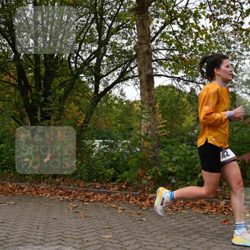 11.10.2026 - Bramfelder Halbmarathon 2026 J. Mangold http://msf.ph/oto/10824191 11.10.2026 10:41:17 Laufen 361, 382, 457, 465 meine-sportfotos.de