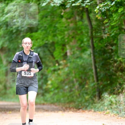 11.10.2026 - Bramfelder Halbmarathon 2026 Dr. Thomas Lammeyer http://msf.ph/oto/10824196 11.10.2026 10:41:39 Laufen 535 meine-sportfotos.de