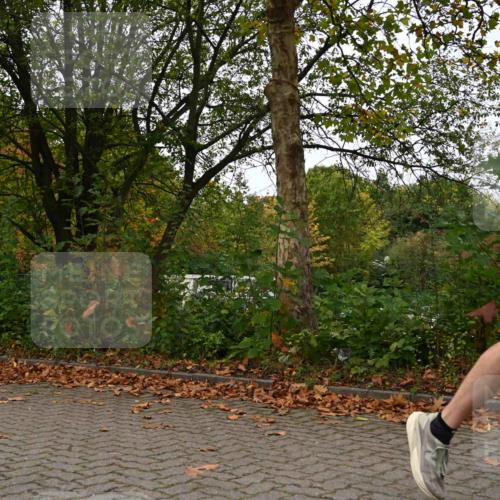 11.10.2026 - Bramfelder Halbmarathon 2026 J. Mangold http://msf.ph/oto/10824199 11.10.2026 10:41:18 Laufen 271, 361, 382, 457, 465 meine-sportfotos.de