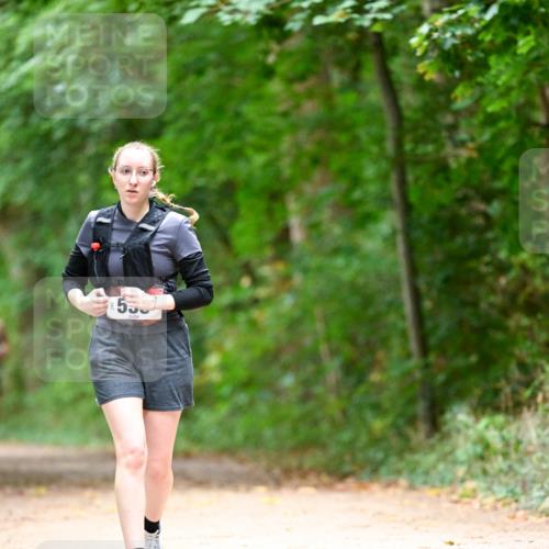 11.10.2026 - Bramfelder Halbmarathon 2026 Dr. Thomas Lammeyer http://msf.ph/oto/10824200 11.10.2026 10:41:40 Laufen 530 meine-sportfotos.de
