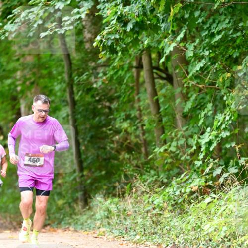 11.10.2026 - Bramfelder Halbmarathon 2026 Dr. Thomas Lammeyer http://msf.ph/oto/10824469 11.10.2026 10:43:06 Laufen 460 meine-sportfotos.de