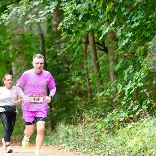 11.10.2026 - Bramfelder Halbmarathon 2026 Dr. Thomas Lammeyer http://msf.ph/oto/10824473 11.10.2026 10:43:06 Laufen 460 meine-sportfotos.de