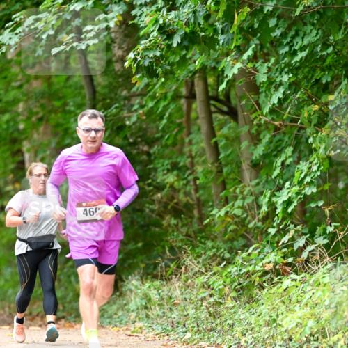 11.10.2026 - Bramfelder Halbmarathon 2026 Dr. Thomas Lammeyer http://msf.ph/oto/10824475 11.10.2026 10:43:07 Laufen 460 meine-sportfotos.de