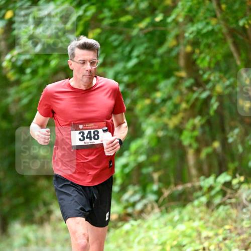 11.10.2026 - Bramfelder Halbmarathon 2026 Dr. Thomas Lammeyer http://msf.ph/oto/10824558 11.10.2026 10:43:29 Laufen 348 meine-sportfotos.de