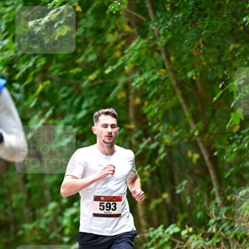11.10.2026 - Bramfelder Halbmarathon 2026 Dr. Thomas Lammeyer http://msf.ph/oto/10824583 11.10.2026 10:43:42 Laufen 593 meine-sportfotos.de