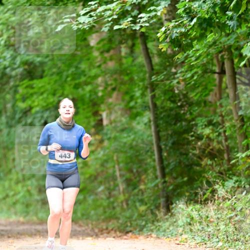 11.10.2026 - Bramfelder Halbmarathon 2026 Dr. Thomas Lammeyer http://msf.ph/oto/10824617 11.10.2026 10:44:01 Laufen 443 meine-sportfotos.de