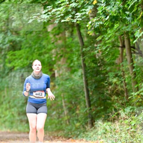 11.10.2026 - Bramfelder Halbmarathon 2026 Dr. Thomas Lammeyer http://msf.ph/oto/10824620 11.10.2026 10:44:01 Laufen 443 meine-sportfotos.de