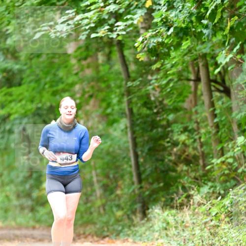 11.10.2026 - Bramfelder Halbmarathon 2026 Dr. Thomas Lammeyer http://msf.ph/oto/10824623 11.10.2026 10:44:02 Laufen 443 meine-sportfotos.de