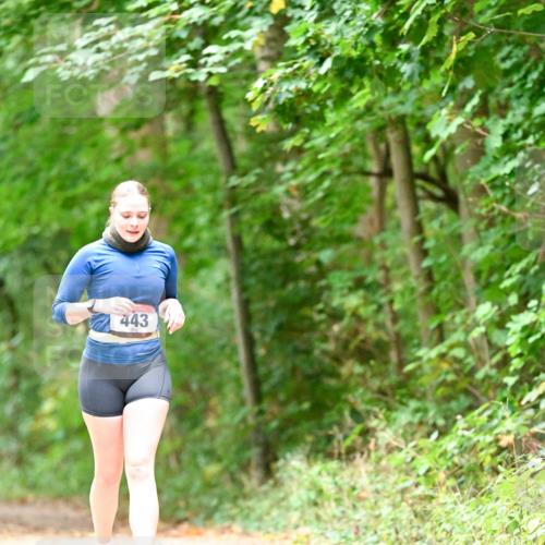 11.10.2026 - Bramfelder Halbmarathon 2026 Dr. Thomas Lammeyer http://msf.ph/oto/10824627 11.10.2026 10:44:02 Laufen 443 meine-sportfotos.de