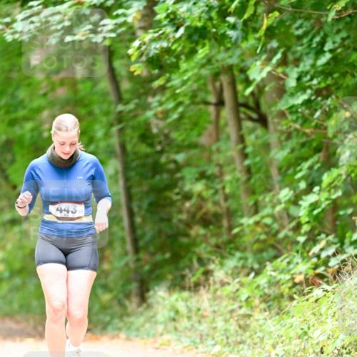 11.10.2026 - Bramfelder Halbmarathon 2026 Dr. Thomas Lammeyer http://msf.ph/oto/10824630 11.10.2026 10:44:03 Laufen 443 meine-sportfotos.de