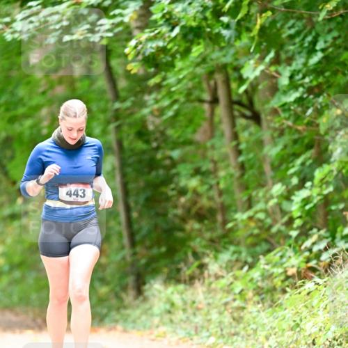 11.10.2026 - Bramfelder Halbmarathon 2026 Dr. Thomas Lammeyer http://msf.ph/oto/10824631 11.10.2026 10:44:03 Laufen 443 meine-sportfotos.de