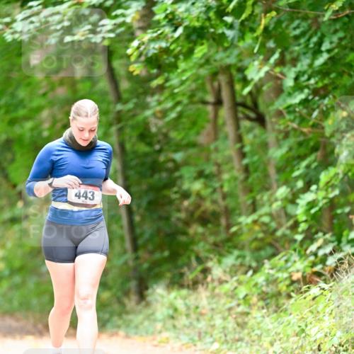 11.10.2026 - Bramfelder Halbmarathon 2026 Dr. Thomas Lammeyer http://msf.ph/oto/10824632 11.10.2026 10:44:03 Laufen 443 meine-sportfotos.de