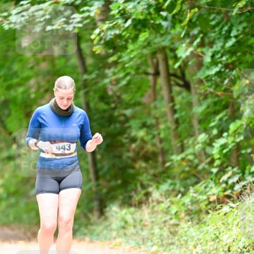 11.10.2026 - Bramfelder Halbmarathon 2026 Dr. Thomas Lammeyer http://msf.ph/oto/10824633 11.10.2026 10:44:03 Laufen 443 meine-sportfotos.de