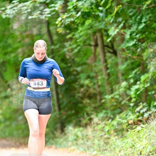 11.10.2026 - Bramfelder Halbmarathon 2026 Dr. Thomas Lammeyer http://msf.ph/oto/10824634 11.10.2026 10:44:03 Laufen 443 meine-sportfotos.de