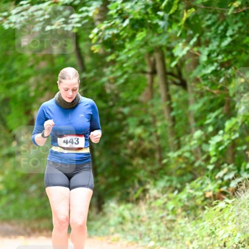11.10.2026 - Bramfelder Halbmarathon 2026 Dr. Thomas Lammeyer http://msf.ph/oto/10824636 11.10.2026 10:44:04 Laufen 443 meine-sportfotos.de