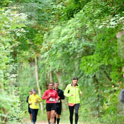 11.10.2026 - Bramfelder Halbmarathon 2026 Dr. Thomas Lammeyer http://msf.ph/oto/10824638 11.10.2026 10:44:34 Laufen 6 meine-sportfotos.de